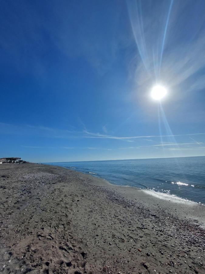 Lucemar Torrox