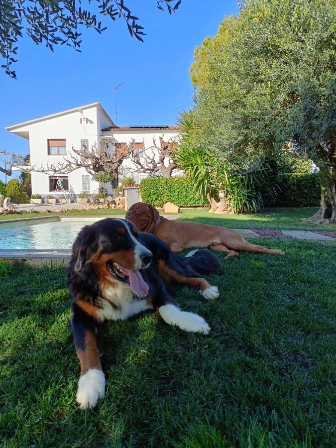 Masia Cal Tonarro Сasa de vacaciones *