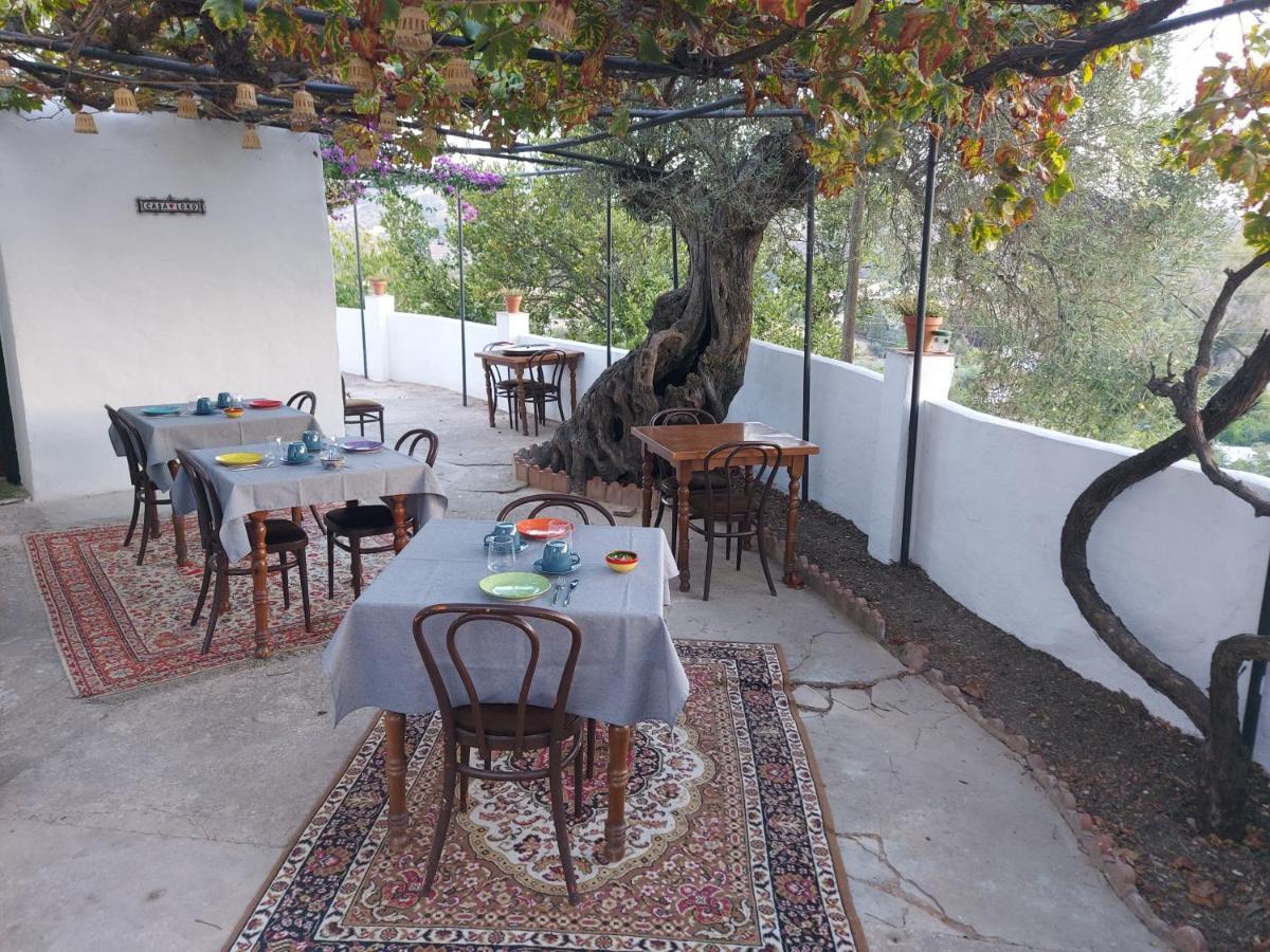 Bed and breakfast Casa Loko Coín