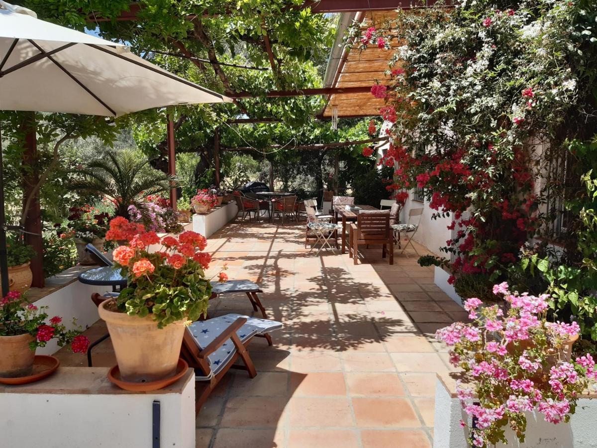 Villa Meleros Andalucian Set In Its Own Land With Beautiful Terraces, Garden & Pool.