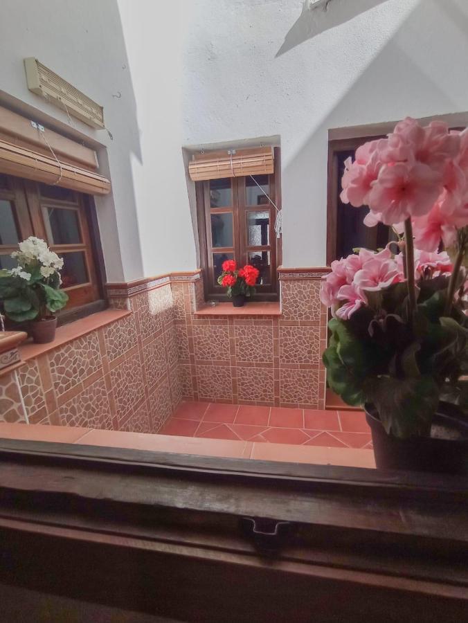 Flores, Disfruta En El Centro De Apartment