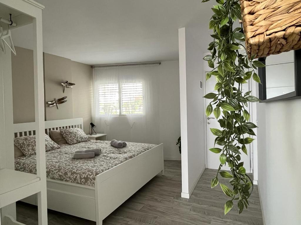 Apartamento Ponderosa Tenerife Playa de las Américas