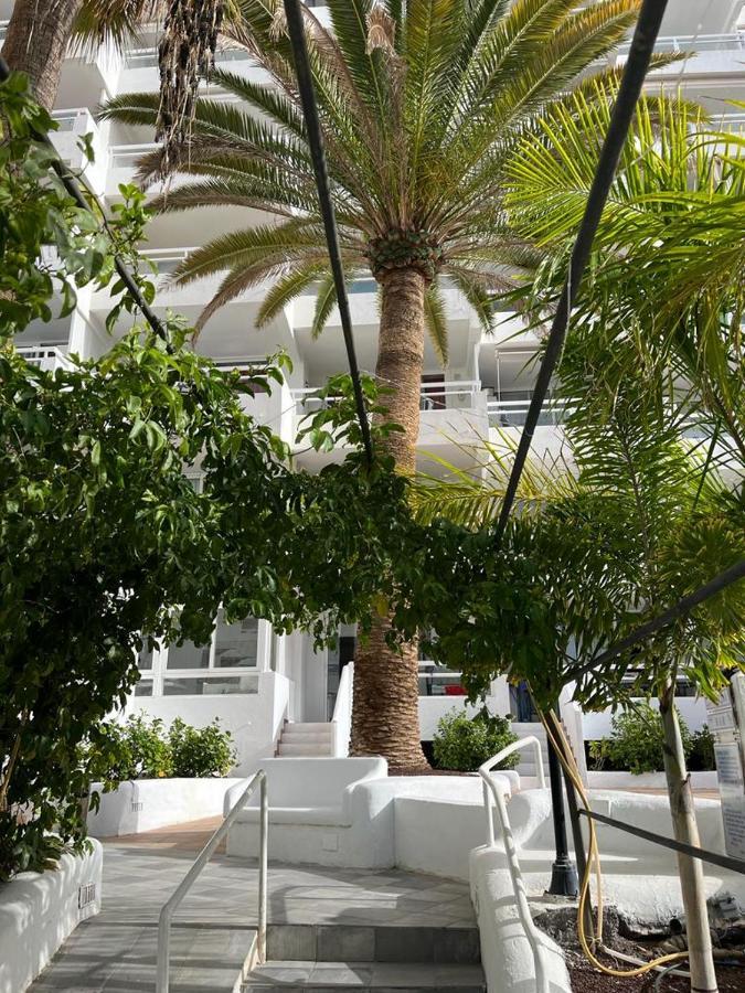 Ponderosa Tenerife *