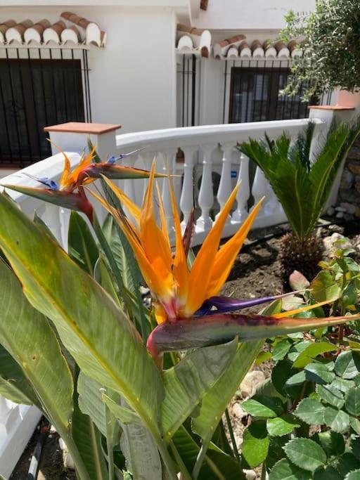 Сasa de vacaciones Azaleas Velilla-Taramay