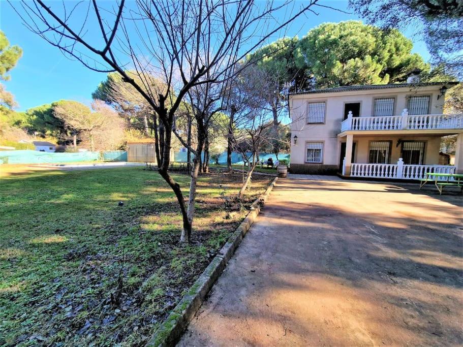 Casa Rosas De Trassierra * Córdoba