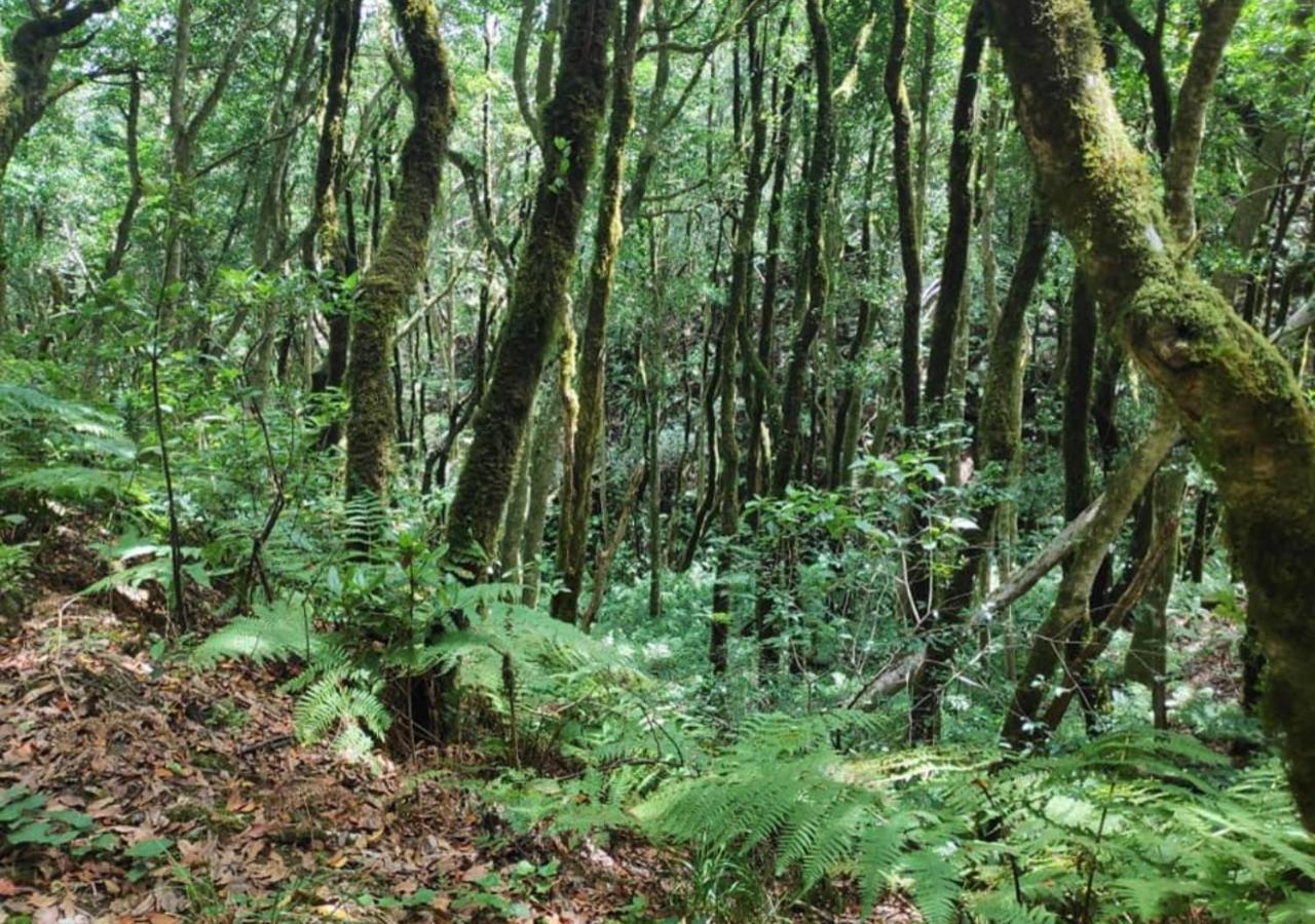 Finca Rural San Agustin