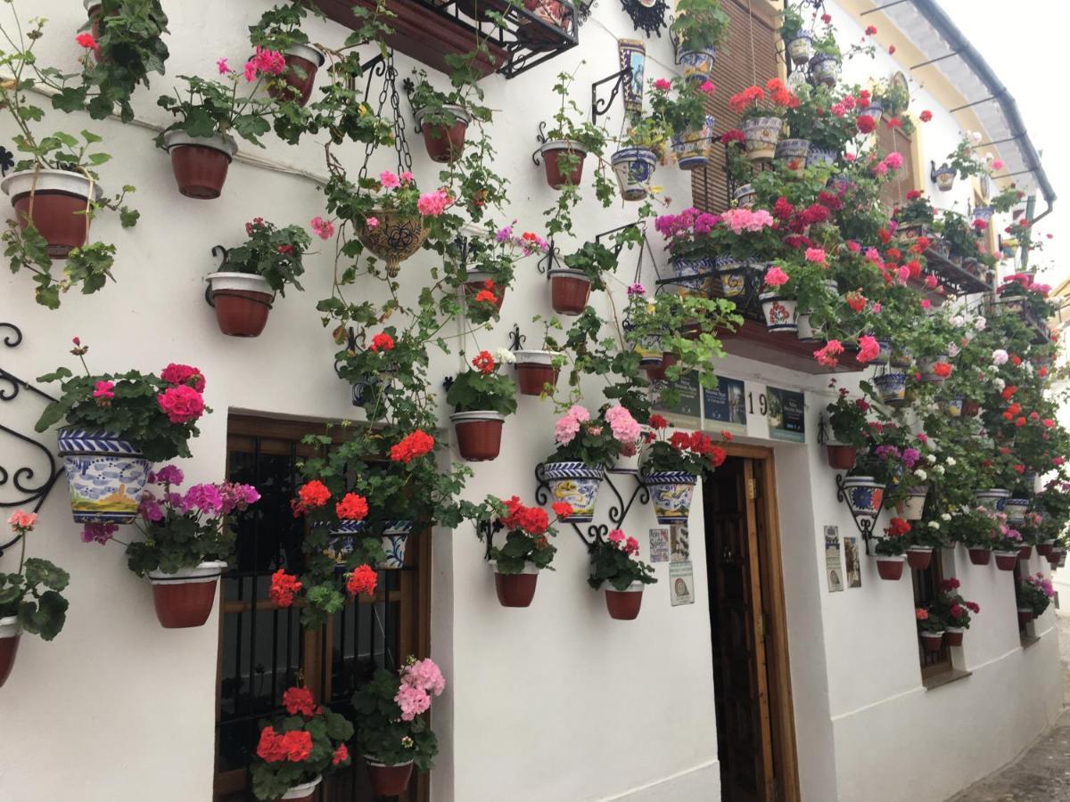 Casa Terraza Juderia Apartamento *