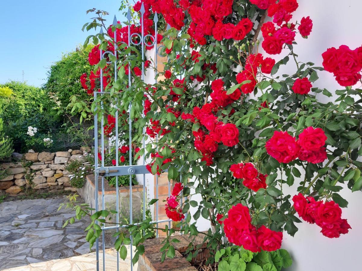 Meleros Andalucian Set In Its Own Land With Beautiful Terraces, Garden & Pool. Olvera