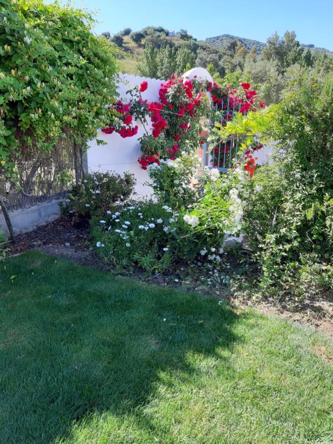 Villa Meleros Andalucian Set In Its Own Land With Beautiful Terraces, Garden & Pool. *