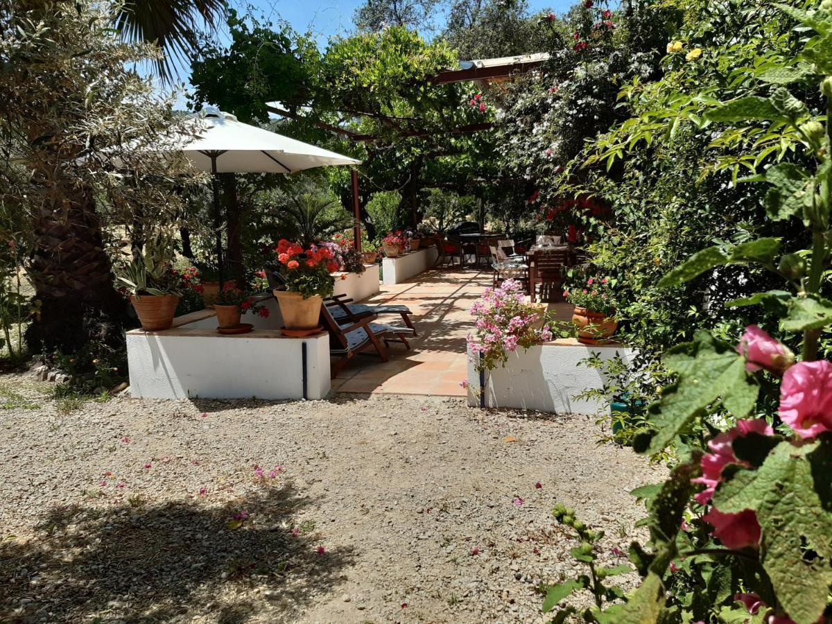 Villa Meleros Andalucian Set In Its Own Land With Beautiful Terraces, Garden & Pool. Olvera