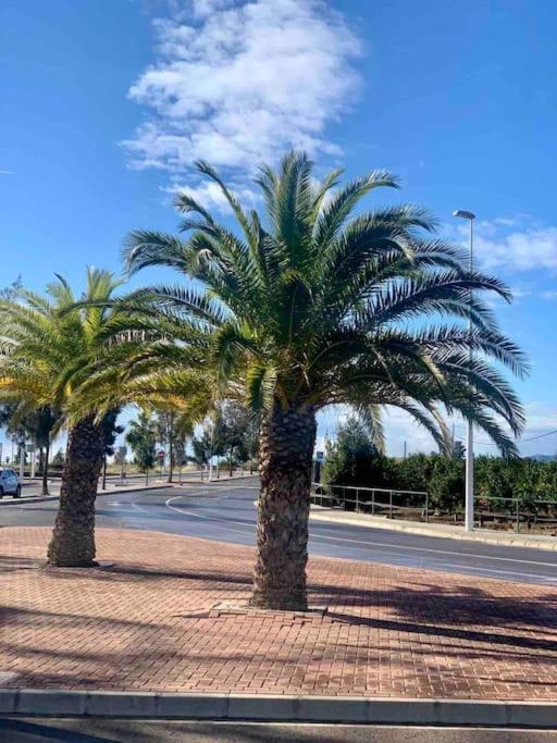 The Olivia * Moncofa (Moncófar)