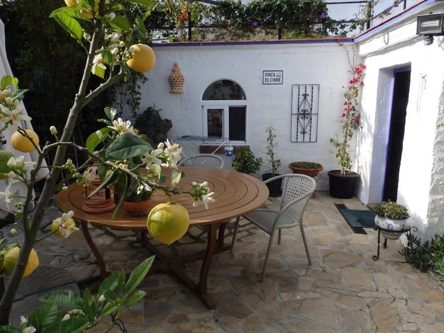 Finca El Cisne, Holiday home Torrox