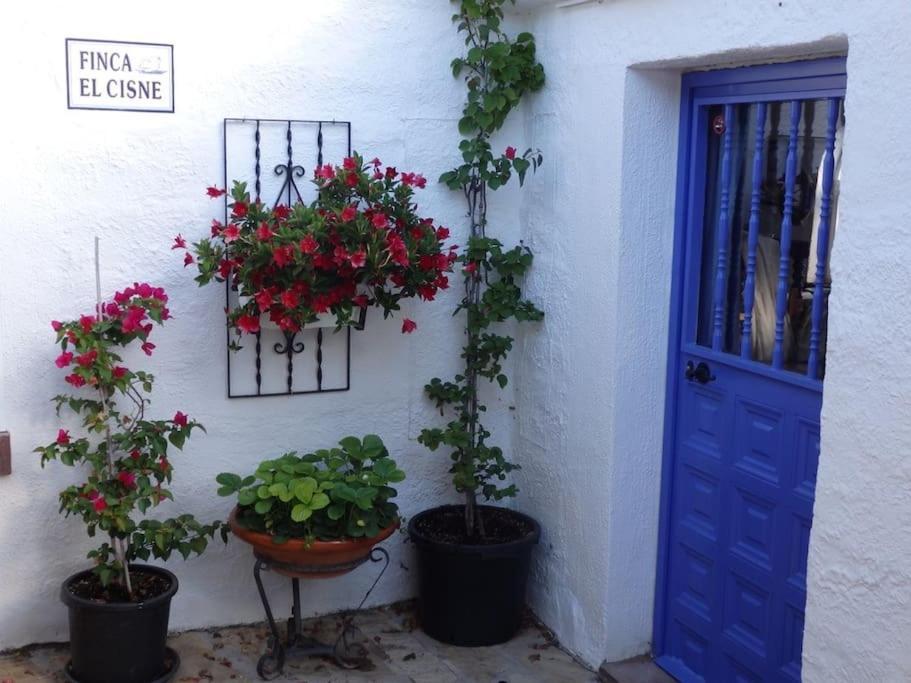 Finca El Cisne, Holiday home *