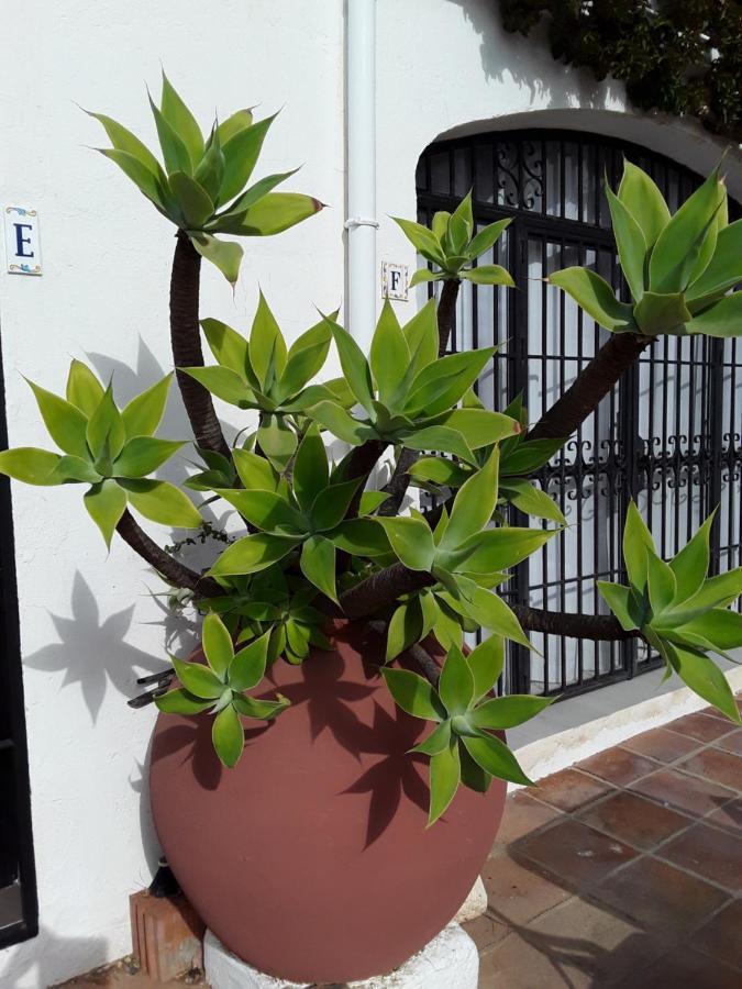 Apartamento Dona Lola , Luminoso Calahonda, Mijas *