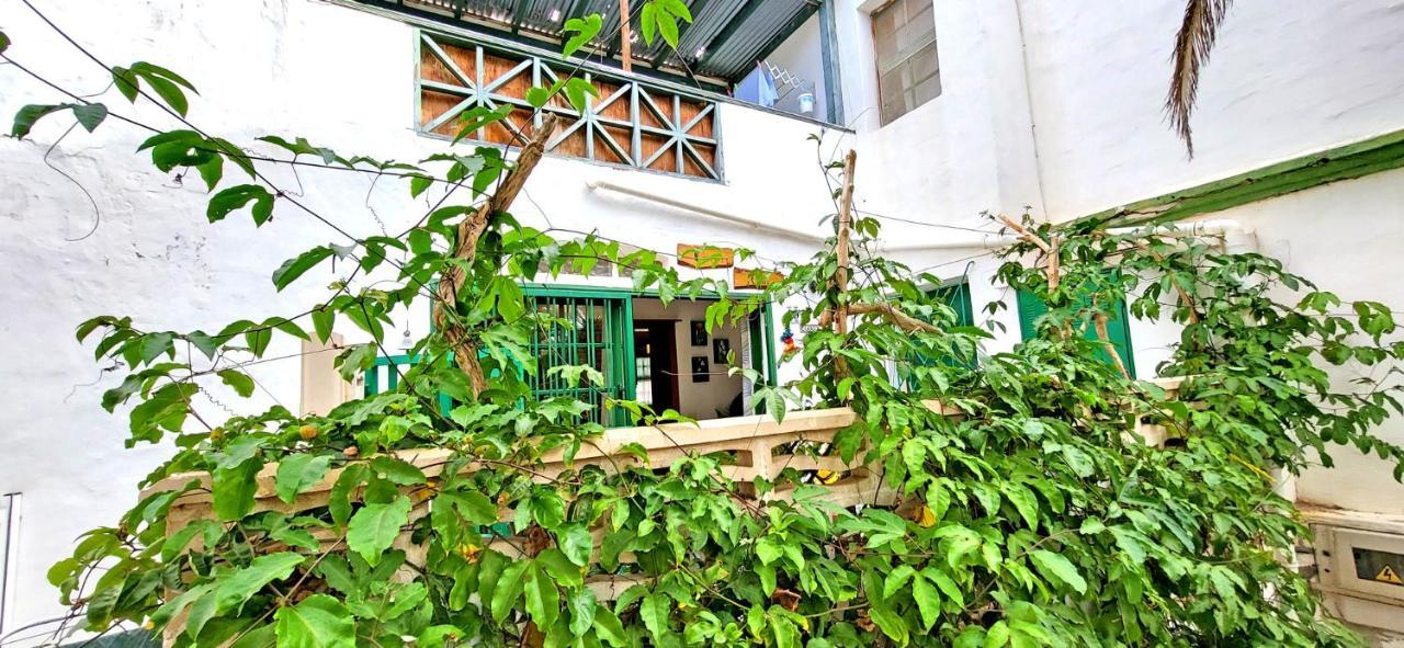 Palm In Apartamento