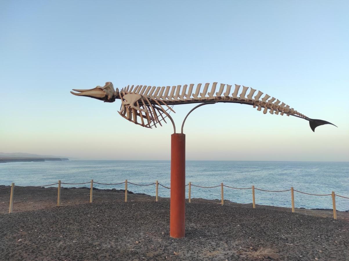 Enjoy El Cotillo (Fuerteventura)