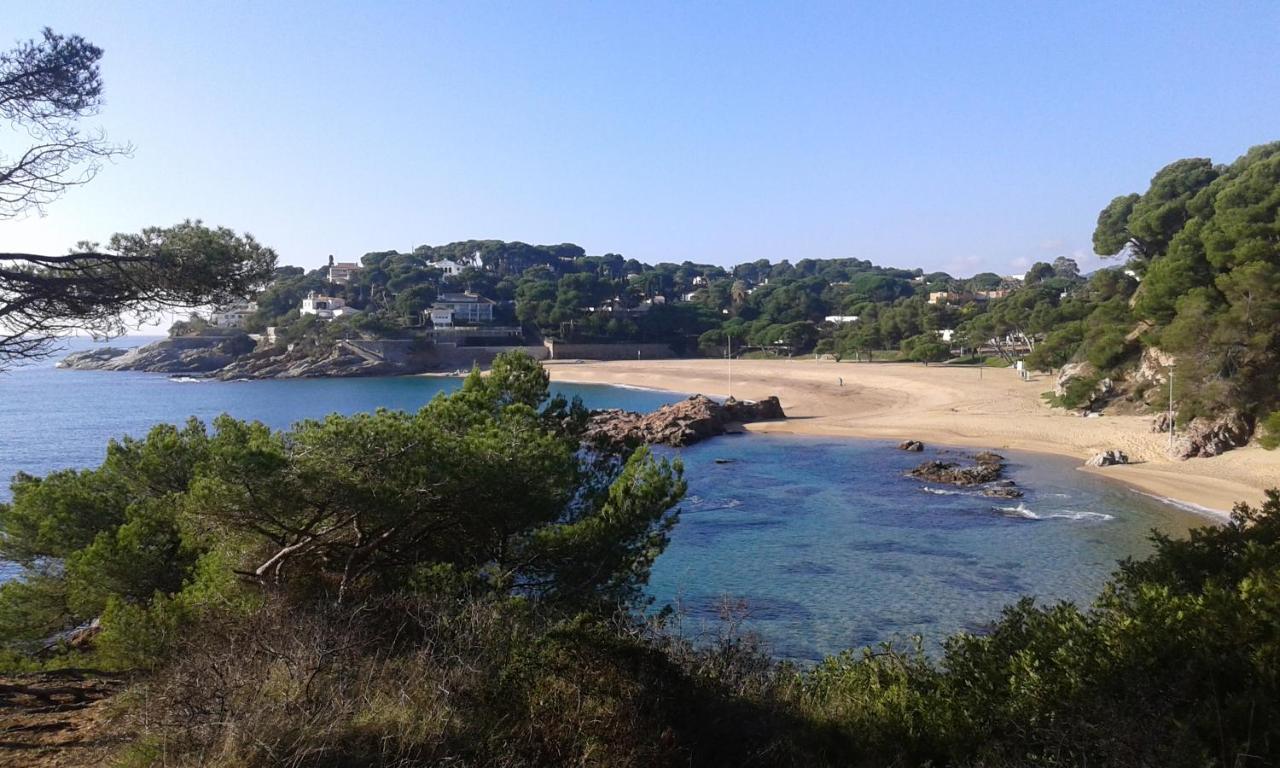 Sa Conca Beach Apartment