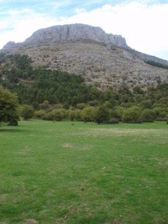 Casa Rural Casa Gonzalo Country house Belmez de la Moraleda