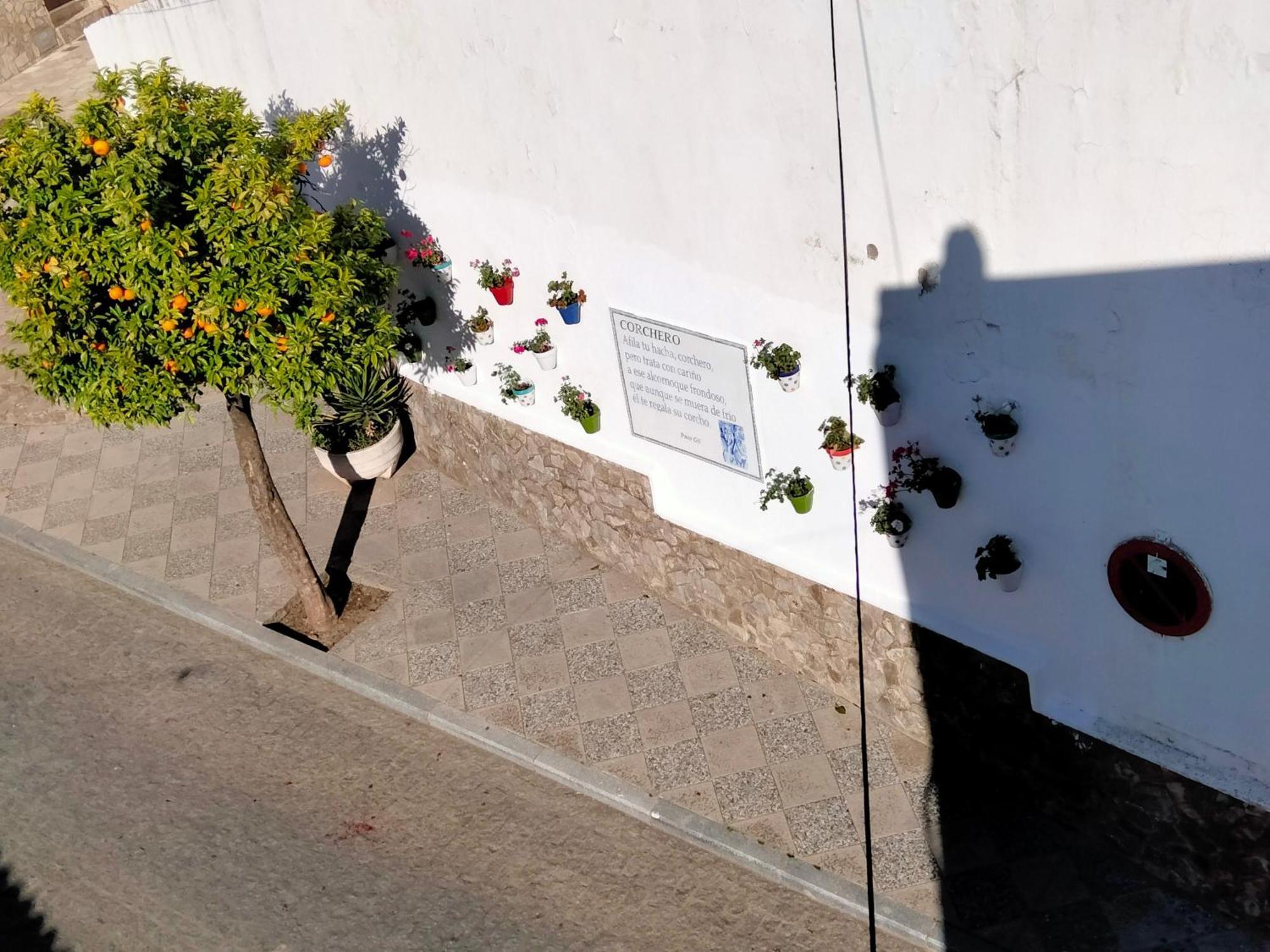 Casa Vista Holiday home Alcala de los Gazules