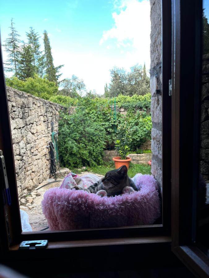 Masiadenjust Casa rural *