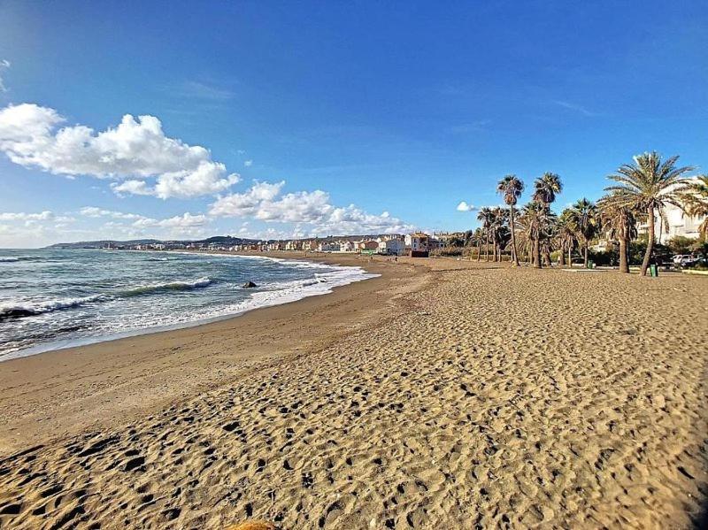 Casares Costa *
