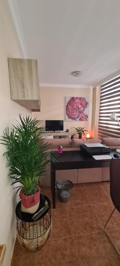 Apartamento Palmas Las Palmas de Gran Canaria