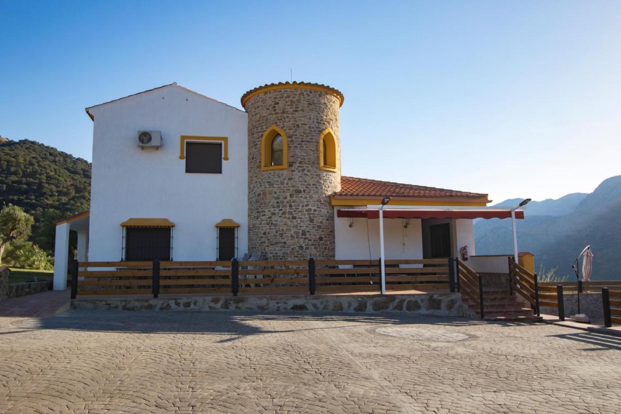 Cedro Alto * Benaoján