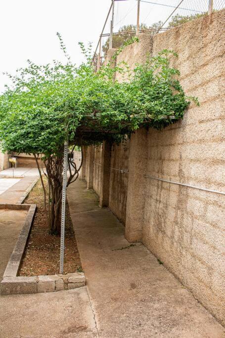 Casa Mas Montanas Met Zwembad Max 10 Pers Vlakbij Valencia * Godelleta