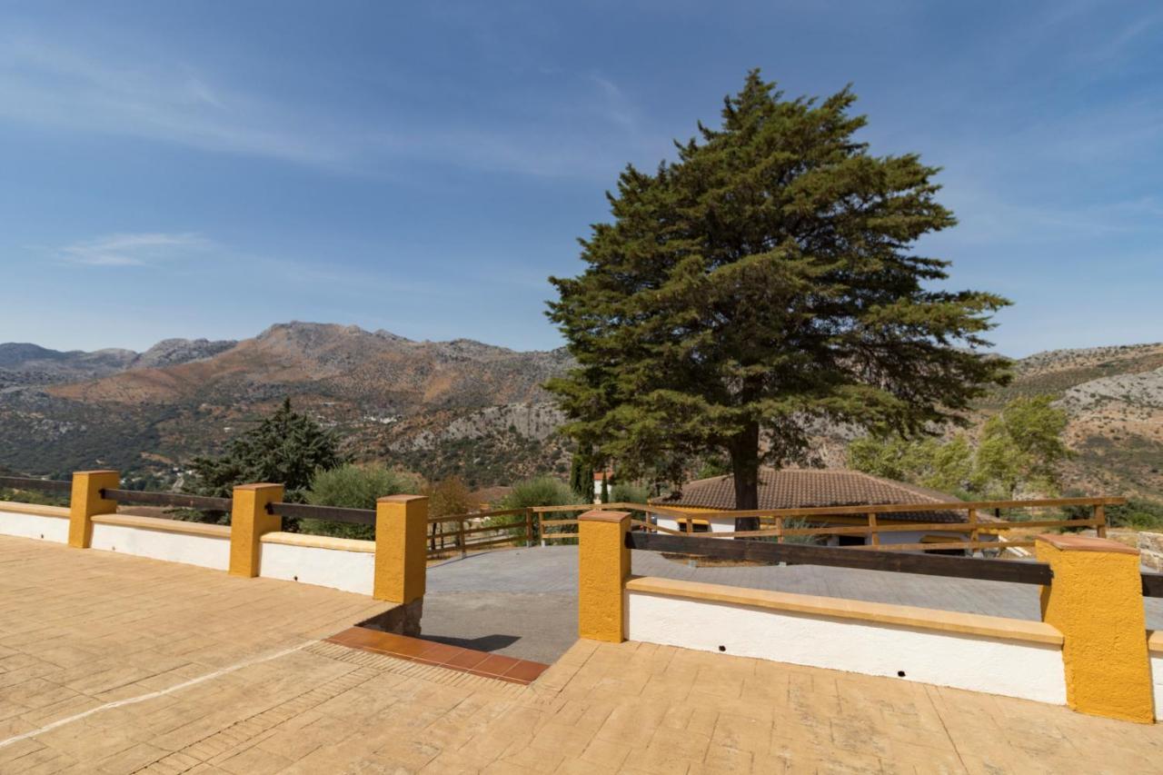 Cedro Alto Apartamento Benaoján