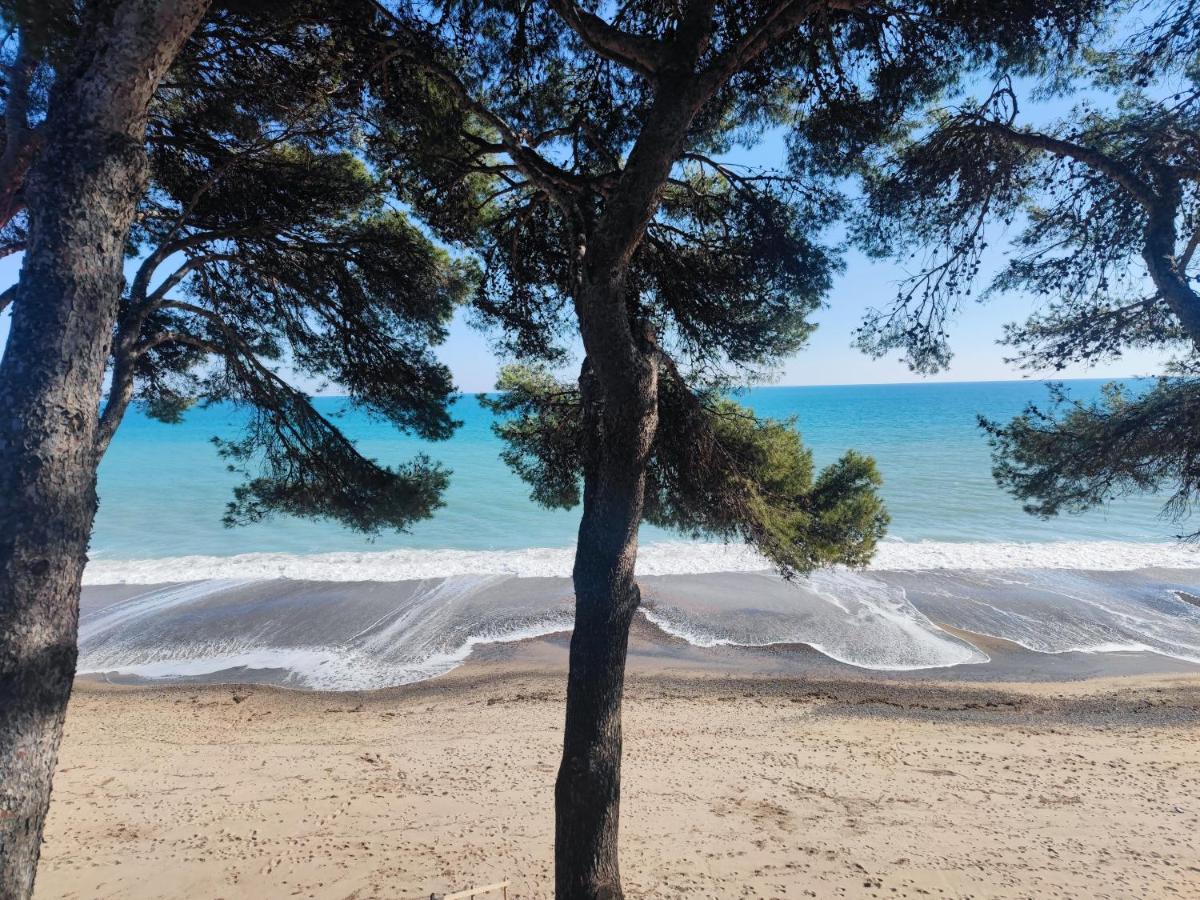 Espectacular Con Privado Miami Platja (Miami Playa)
