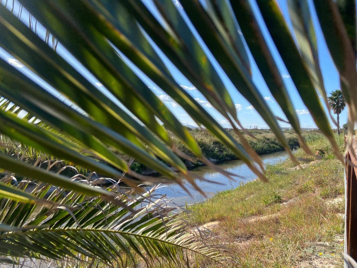 Rafaello ,,la Zona Cabo Roig, Area Cabo Roig