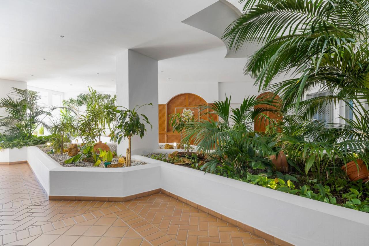 Precioso En Gaviotas Apartamento *