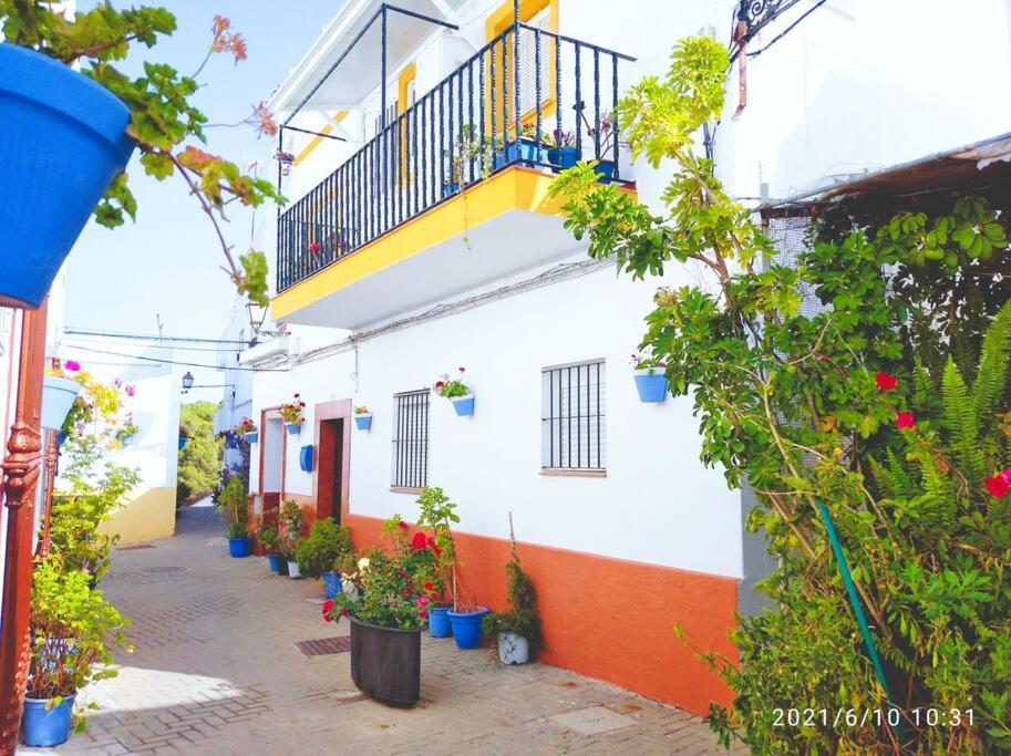 Casa Barrio De Pescadores Apartment Conil De La Frontera
