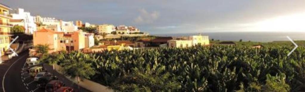 El Tejar Apartamento