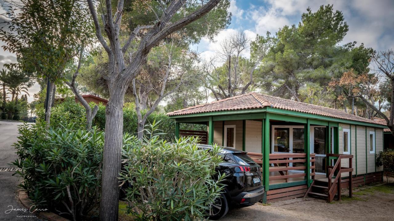 Campsite Vilanova Park 3*