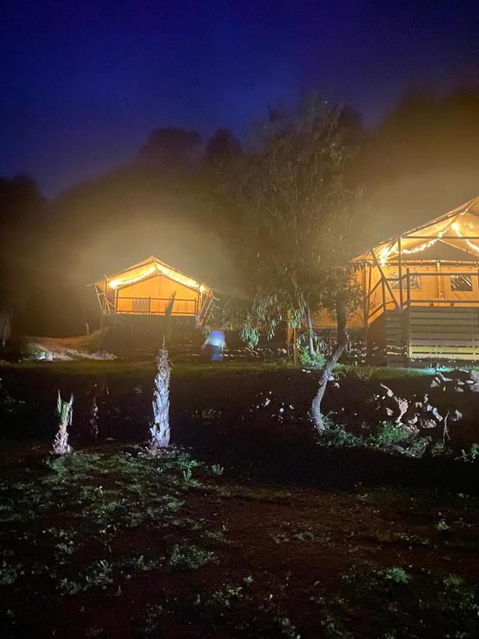 Campo de lujo Glamping Vall De Codo