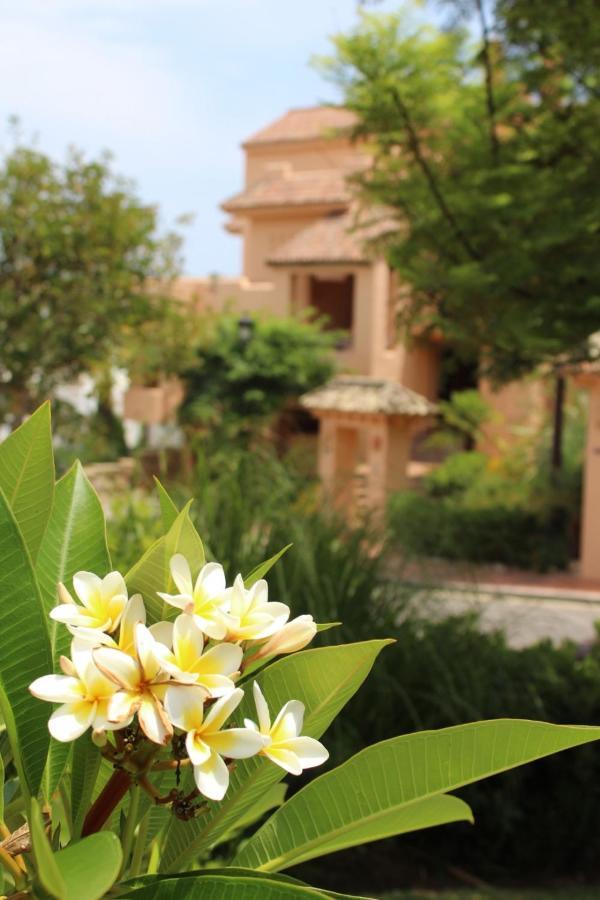 Apartment Duquesa Village 2115