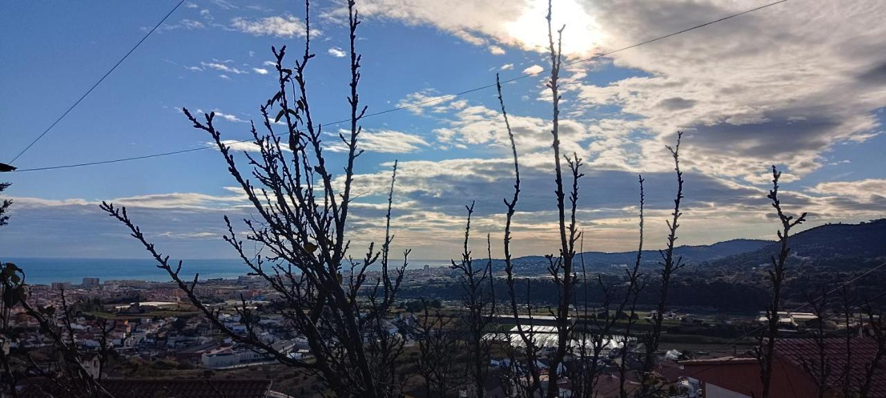 Casaemyem-