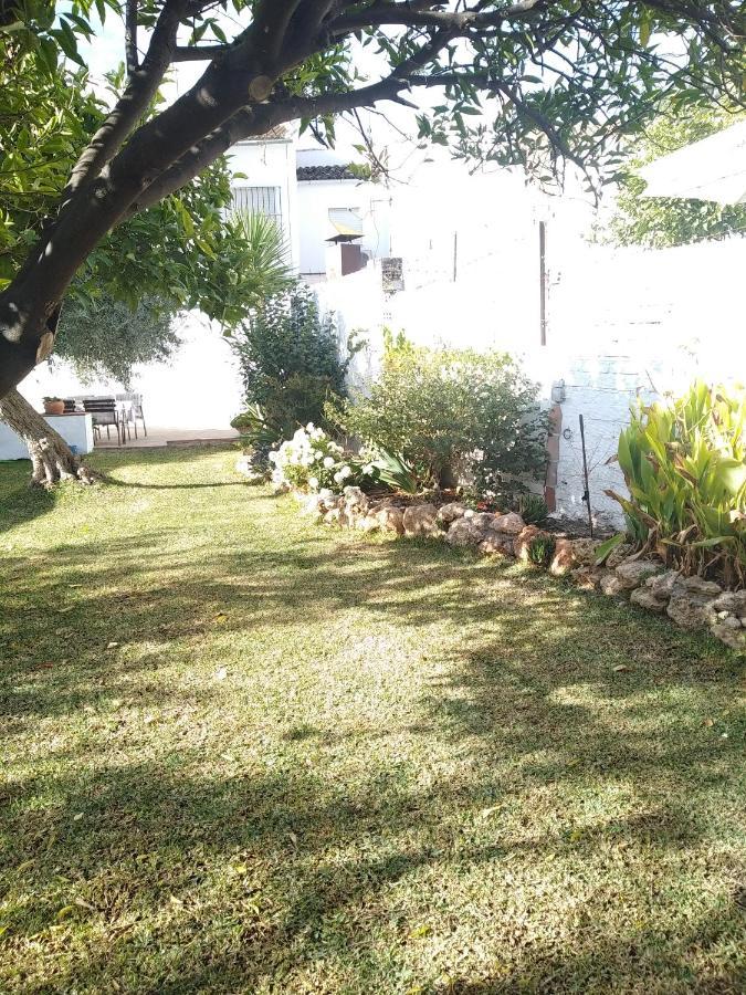 Apartment Pitillas Algodonales