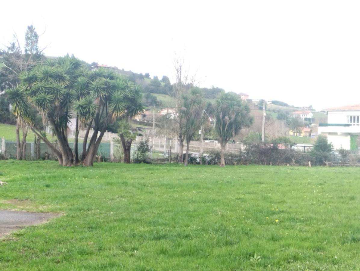 Las Palmeras Pensión