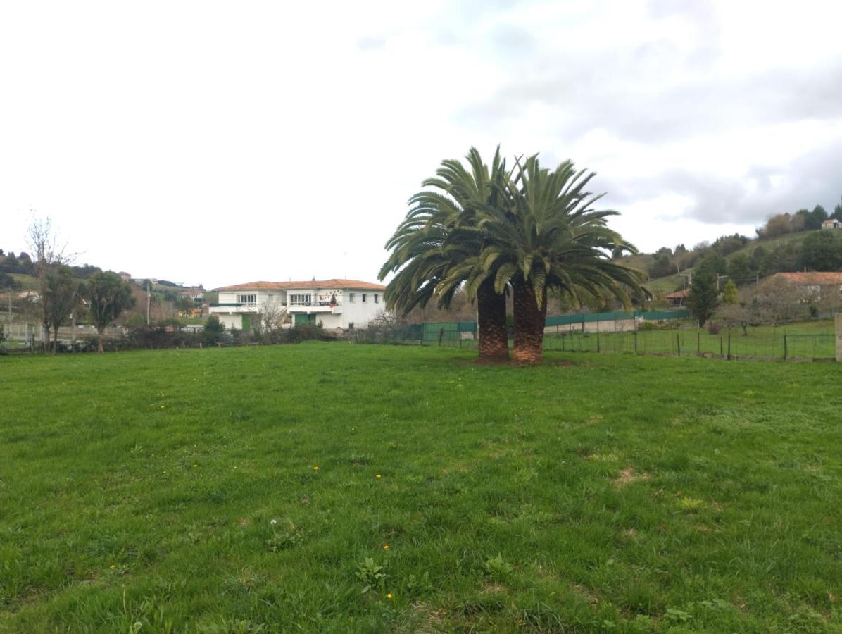 Las Palmeras Pensión *