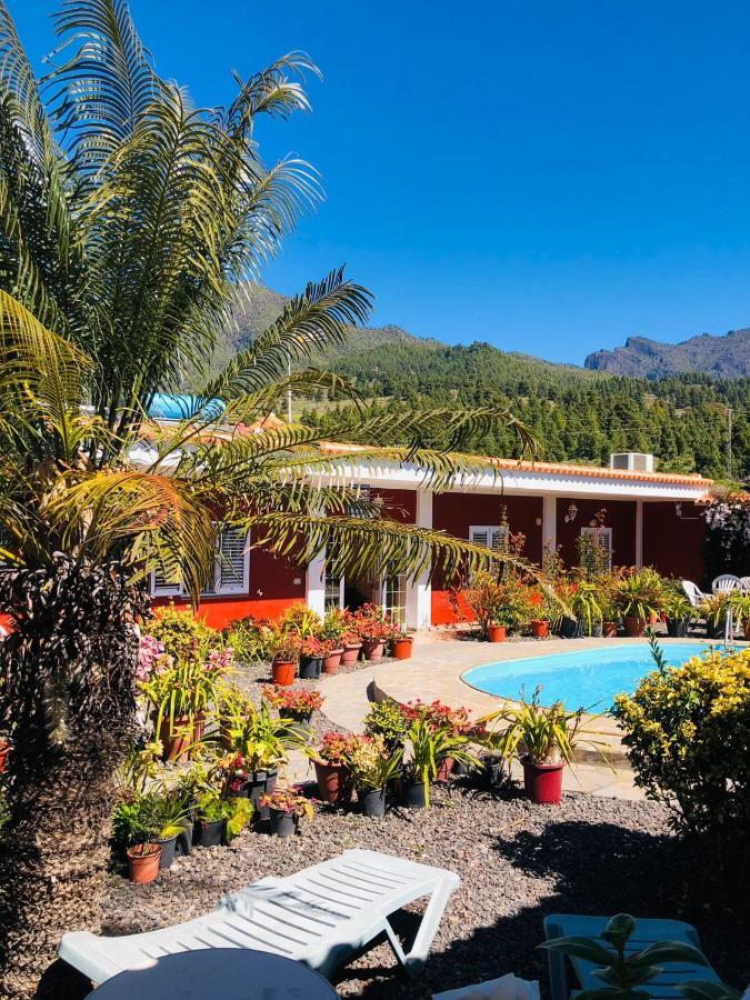 Apartment Catalino I *