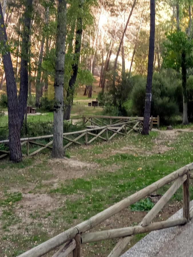 Casa Pinos Casa rural *