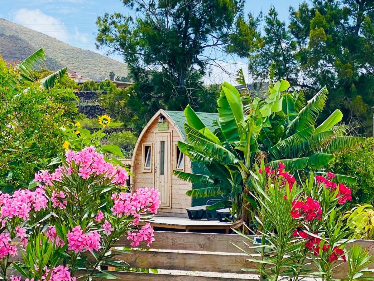 Holiday home Amani Con Jacuzzi Piscina Y Naturaleza Buzanada