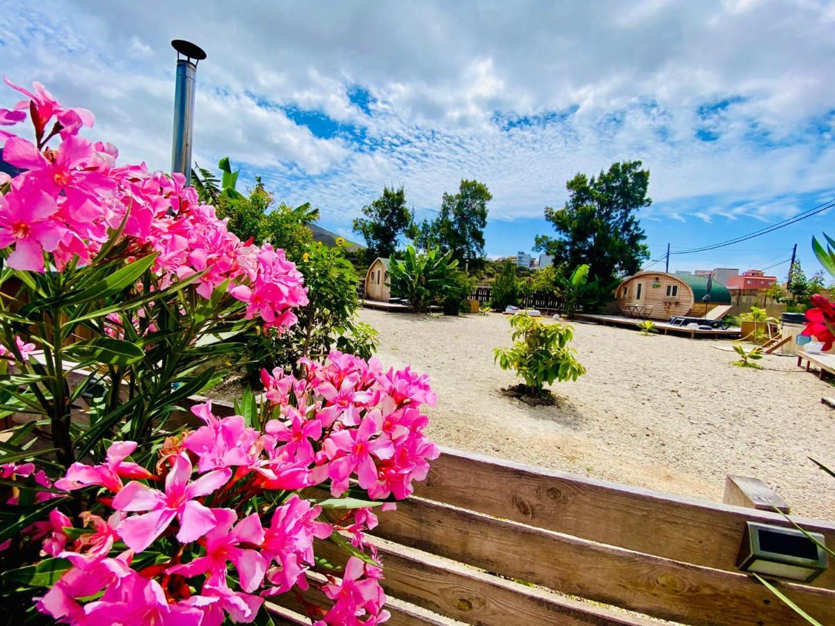 Arrebol Con Jacuzzi, Piscina Y Naturaleza Сasa de vacaciones *