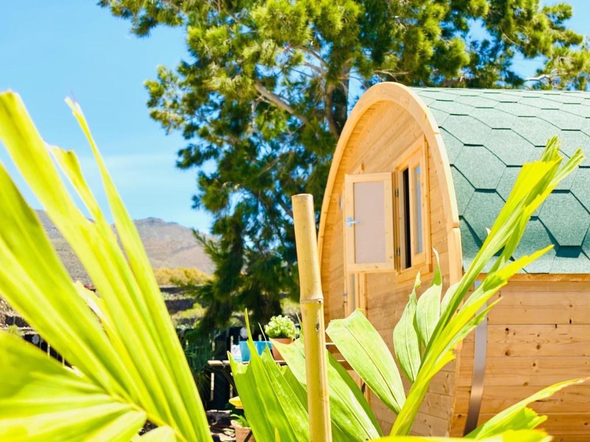 Holiday home Amani Con Jacuzzi Piscina Y Naturaleza Buzanada