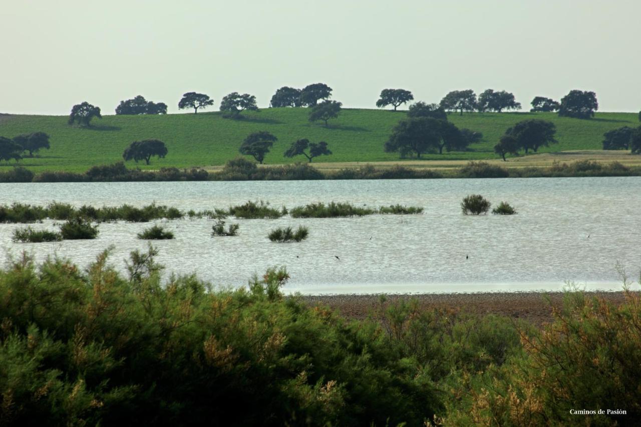 El Molino 2* Osuna