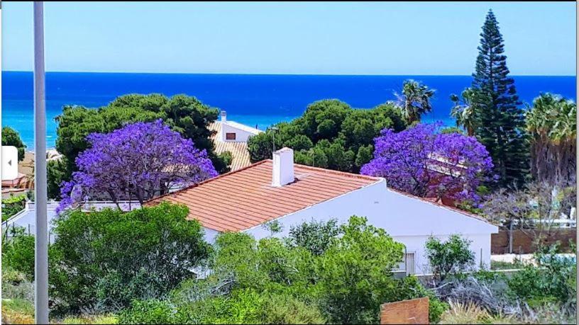 - El Pinar De San Gines Apartment *