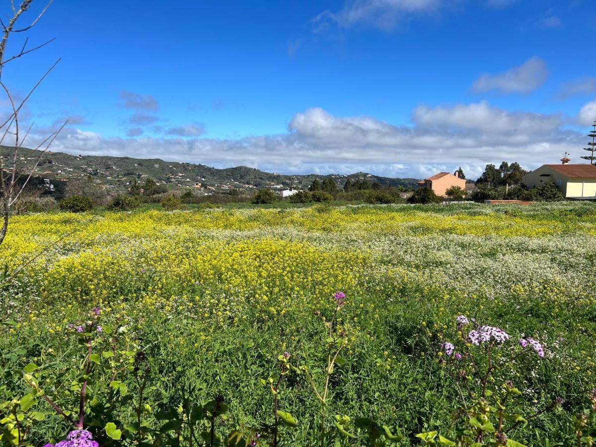 Сasa de vacaciones La Veguetilla En San Mateo *