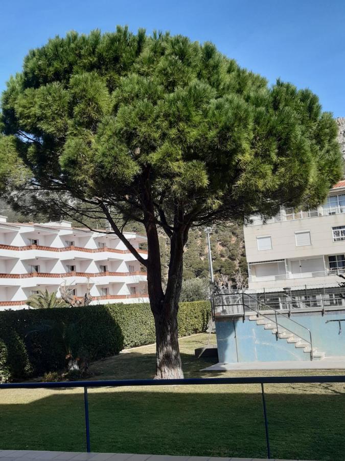 Blau Park * L'Estartit
